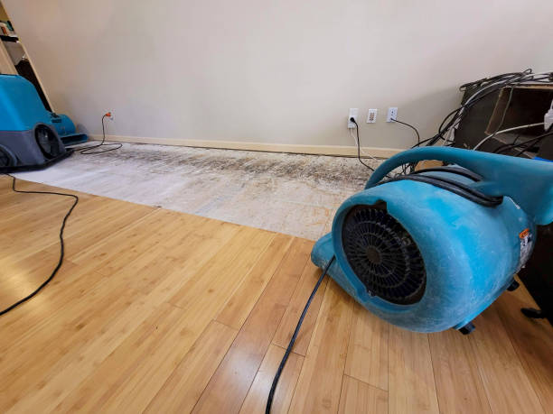 Professional Burst Pipe Water Damage technician working in Walton, NE